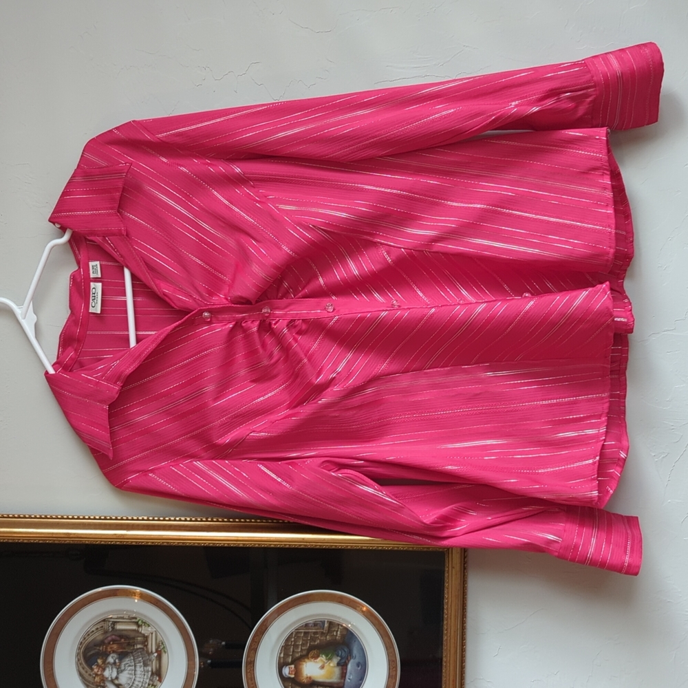 Cato Fuchsia Metallic Striped Long Sleeved Button Up Blouse Size 14/16W
